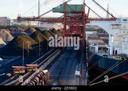 Deutschland, Hamburg, Hansaport Import von Kohle und Erz, Entladung von Steinkohle vom Bulk Carrier / DEUTSCHLAND, Hamburg, Hansaport, Import von Kohle aus Rußland, Kolumbien etc., Entladung von Steinkohle von einem Frachter Stockfoto