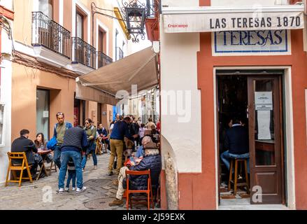 Las Teresas 1870, andalusisches Restaurant mit einer Old-School-Bar, die typisch spanische Eintöpfe, Fleisch und Tapas serviert, Barrio de Santa Cruz, Sevilla, Spanien Stockfoto