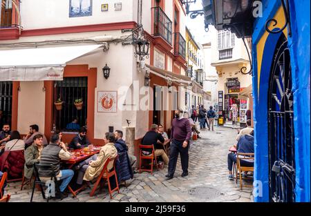 Las Teresas 1870, andalusisches Restaurant mit einer Old-School-Bar, die typisch spanische Eintöpfe, Fleisch und Tapas serviert, Barrio de Santa Cruz, Sevilla, Spanien Stockfoto