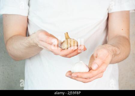 Knoblauch und fermentierter Knoblauch in den Händen des Mannes. Ein Mann in einem weißen T-Shirt auf grauem Hintergrund hält Knoblauch und schwarze Knoblauchzwiebeln in den Händen. Fermentiert Stockfoto