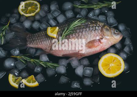 Kochen von Fisch, rohem Fisch auf einem Backblech mit Eiswürfeln, Zitronenscheiben und Rosmarinzweigen Stockfoto