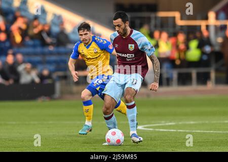 Burnley, Großbritannien. 21. April 2022. Dwight McNeil #11 von Burnley hält den Ball in Burnley, Großbritannien am 4/21/2022. (Foto von Craig Thomas/News Images/Sipa USA) Quelle: SIPA USA/Alamy Live News Stockfoto