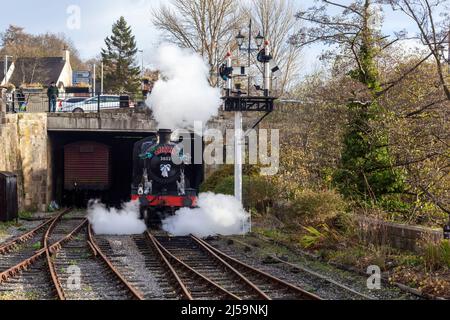Das Santa Steam Special beginnt sich zu bewegen, nachdem es das Signal am Llangollen Heritage Railway Station, North East Wales, empfangen hat Stockfoto
