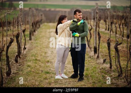 Ehepaar, das im Frühjahr am Weingut arbeitete. Stockfoto