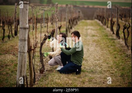 Ehepaar, das im Frühjahr am Weingut arbeitete. Stockfoto