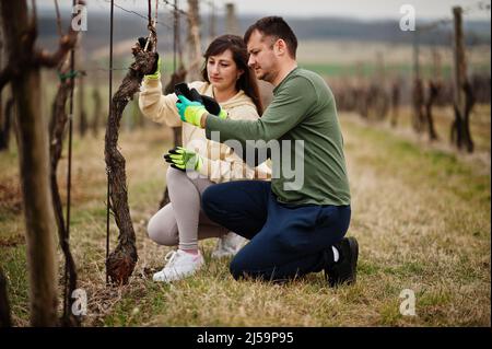 Ehepaar, das im Frühjahr am Weingut arbeitete. Stockfoto