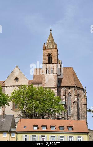 Breisach, Deutschland - April 2022: Stephansdom auf einem kleinen Hügel mit Blick auf die Stadt Stockfoto