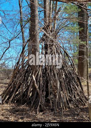 Baum Fort Tipi mit Ästen in Frühlingswäldern mit blauem Himmel gemacht Stockfoto