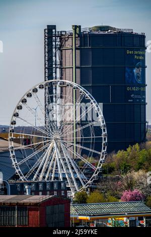 Neue Mitte Oberhausen, Gasometer-Ausstellungshalle, Riesenrad im Einkaufszentrum Westfield Centro, Rudolf Weber Arena, NRW, Deutschland, Stockfoto