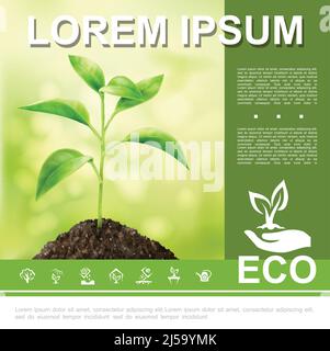 Realistische ökologische und natürliche Vorlage mit wachsenden Pflanzen Hand halten Sprout eco Logo und Ökologie Symbole Vektor Illustration Stock Vektor