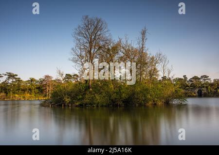 Die Schlösser von Laxenburg befinden sich in der Gemeinde Laxenburg in Niederösterreich Stockfoto