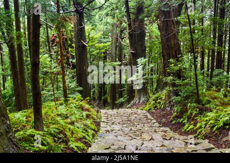 Daimon Zaka, Kumano Nachi Taisha, Kii, Japan Stockfoto