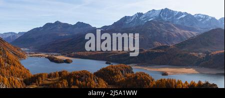 sils See in Herbstfarben: Einer der schönsten Alpenseen der schweiz, in der Nähe des Dorfes Sils Maria, Engadin, Schweiz. Stockfoto