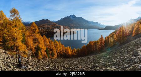 sils See in Herbstfarben: Einer der schönsten Alpenseen der schweiz, in der Nähe des Dorfes Sils Maria, Engadin, Schweiz. Stockfoto