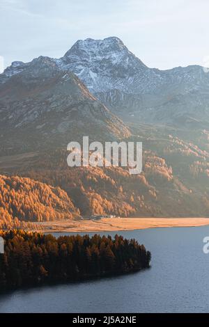 sils See in Herbstfarben: Einer der schönsten Alpenseen der schweiz, in der Nähe des Dorfes Sils Maria, Engadin, Schweiz. Stockfoto