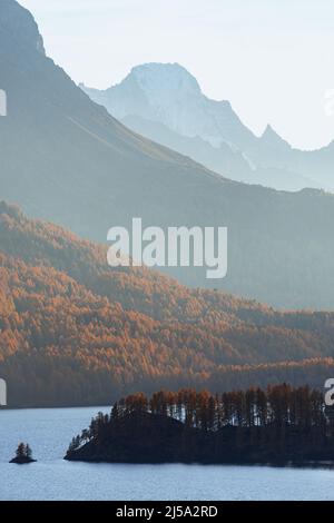 sils See in Herbstfarben: Einer der schönsten Alpenseen der schweiz, in der Nähe des Dorfes Sils Maria, Engadin, Schweiz. Stockfoto