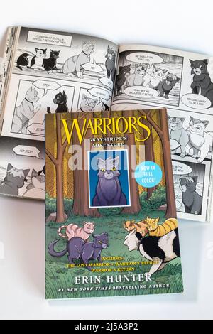 Warriors are Manga Adventure Graphic Novels with the Feline Character, Graystripe, USA, 2022 Stockfoto