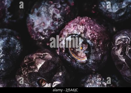 Blaubeeren eingefroren Vollformat Makro Draufsicht close up Stockfoto