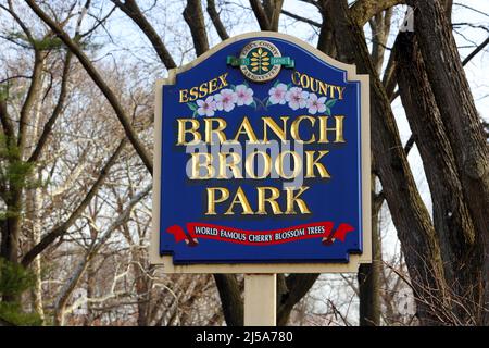 Beschilderung zum Branch Brook Park, der seine weltberühmten Kirschblütenbäume anpreist. Der Park verfügt über die größte Sammlung von Kirschbäumen in den USA. Stockfoto