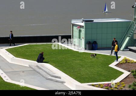 Ein Hund spielt auf dem Rasen auf dem Dach des Pier 57-Parks im Hudson River Park in Manhattan; ein Segelboot fährt am Hudson River, New York, vorbei. Stockfoto