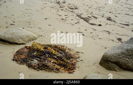 Alte verlassene Fischernetze am Strand Stockfoto