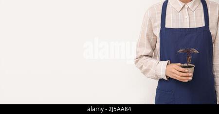 Frau mit Basilikumkernling in einem Torftopf auf hellem Hintergrund mit Platz für Text Stockfoto