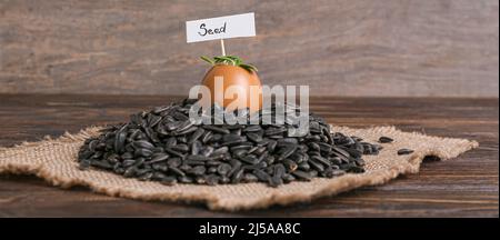 Tag mit Wort SAMEN und junge Pflanzen in Eierschale mit Sonnenblumenkernen auf Holzhintergrund Stockfoto