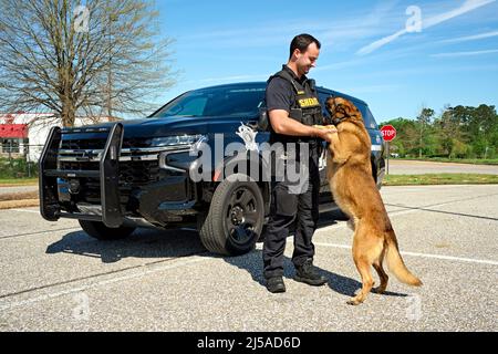 Polizeibeamter K-9 oder stellvertretender Sheriff K-9 mit seinem Polizeihund K-9 vor einem Polizei-SUV-Kreuzer in Montgomery Alabama, USA. Stockfoto