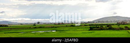 Paddy Fields in den Außenbezirken von Antananarivo, Madagaskar. Stockfoto