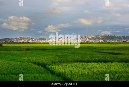 Paddy Fields in den Außenbezirken von Antananarivo, Madagaskar. Stockfoto