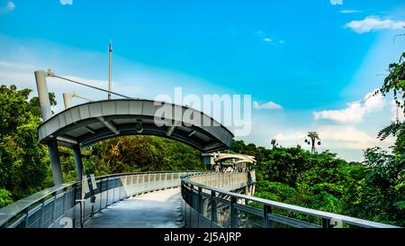 Fort Siloso Skywalk, der 11 Stockwerke hohe Skywalk Trail bietet Gästen eine malerische Baumwipfelwanderung auf dem Weg nach Fort Siloso. Stockfoto