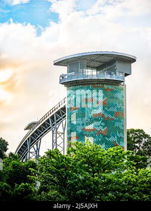 Fort Siloso Skywalk, der 11 Stockwerke hohe Skywalk Trail bietet Gästen eine malerische Baumwipfelwanderung auf dem Weg nach Fort Siloso. Stockfoto