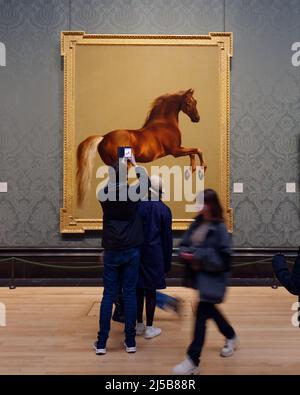 London, Greater London, England, April 09 2022: Innenansicht der National Gallery, während die Menschen Kunstwerke eines Pferdes im Sackler Room bewundern und fotografieren Stockfoto