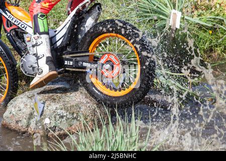 Merida, Spanien - 10.. April 2022: Motorrad-Trial Extremadura Championship. Hinterrad dreht sich in einem Bach Stockfoto