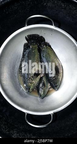 Rohes Süßwasser Tilapia Fische frisch gefangen und in eine Stahlschale bereit zum Kochen gestellt werden Stockfoto