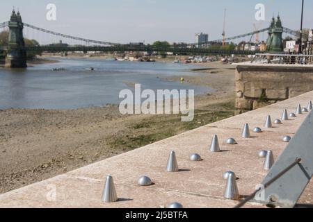 Krankenhausarchitektur, die von der Berkeley Group installiert wurde, um Menschen daran zu hindern, an der Flussmauer von Fulham Reach zwischen Hammersmith und Fulham zu sitzen Stockfoto