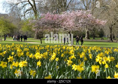 London, England, Großbritannien. Frühlingsblumen und Blüten im St James's Park, 17.. März 2022 Stockfoto