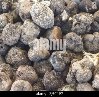 Gruppe von köstlichen rohen ganzen Trüffel Stockfoto