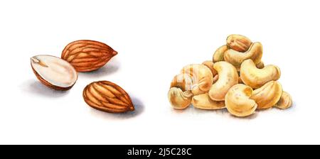 Wasserfarbige Nüsse. Mandeln und Cashew. Realistische botanische Illustration mit drei Nüssen. Handbemalter Lebensmittelclipart in braun-beige-Farbe für das Etikettendesign Stockfoto