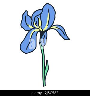 Iris einzelne schöne rustikale Blume Vektor-Illustration Stock Vektor