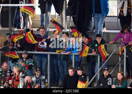 Rosenheim, Deutschland. 21. April 2022. DEB Fans beim Spiel DEUTSCHLAND - SCHWEIZ 4-2 Freundschaftsspiel DEB EISHOCKEY, WM 2022 Vorbereitung in Rosenheim Deutschland, April21, 2022, Saison 2021/2022, Schweiz, © Peter Schatz / Alamy Live News Credit: Peter Schatz/Alamy Live News Stockfoto