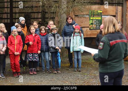 Sachsen Anhalt, Deutschland. 22. April 2022. 22. April 2022, Sachsen-Anhalt, Silberhütte: Grundschüler aus Harzgerode werden von einem Forstarbeiter in einer Pflanzkampagne zum Arbor Day unterwiesen. Auf einem Gebiet sollen insgesamt 1000 Kupferbuchen, die auch der Baum des Jahres 2022 sind, gepflanzt werden. Der Tag des Baumes wird in Deutschland seit 1952 gefeiert. Ziel ist es, insbesondere junge Menschen für den Wert von Bäumen für das Klima, die Erde und für die Menschen zu sensibilisieren. Foto: Matthias Bein/dpa-Zentralbild/ZB Quelle: dpa picture Alliance/Alamy Live News Stockfoto