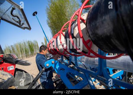 (220422) -- SHAWAN, 22. April 2022 (Xinhua) -- Ili Mehmet arbeitet an der Sämaschine in seinem Baumwollfeld in Shawan, im Nordwesten der Autonomen Region Xinjiang Uygur in China, 16. April 2022. Ili Mehmet, 50, lebt in Shawan, einem großen Baumwollanbaugebiet in Xinjiang. Während der Aussaatsaison im Frühjahr wurden die landwirtschaftlichen Arbeiten hauptsächlich von angeheuerten mechanisierten Pflanzteams durchgeführt. Doch Ili Mehmet verbringt seine Freizeit immer noch in dem 700 mu (etwa 46,7 Hektar) großen Baumwollfeld, das er mit seinem Geschäftspartner Duan Zhizhong in Auftrag gegeben hat, um neue Pflanztechniken von anderen zu erlernen. Neben der Arbeit in den Baumwollfeldern, h Stockfoto