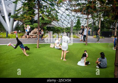 18.03.2020, Singapur, Republik Singapur, Asien - Kinder spielen im neuen Jewel Terminal am Changi Airport auf dem Kunstrasen der Foggy Bowls, einem Spielplatz, umgeben von Pinien im Canopy Park, aus dessen Höhlen gelegentlich Nebelwolken aufsteigen. Trotz der schnellen Ausbreitung des Coronavirus sieht man immer noch viele Menschen, die scheinbar entspannt ihren Alltag durchmachen. [Automatisierte Übersetzung] Stockfoto