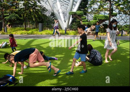 18.03.2020, Singapur, Republik Singapur, Asien - Kinder spielen im neuen Jewel Terminal am Changi Airport auf dem Kunstrasen der Foggy Bowls, einem Spielplatz, umgeben von Pinien im Canopy Park, aus dessen Höhlen gelegentlich Nebelwolken aufsteigen. Trotz der schnellen Ausbreitung des Coronavirus sieht man immer noch viele Menschen, die scheinbar entspannt ihren Alltag durchmachen. [Automatisierte Übersetzung] Stockfoto