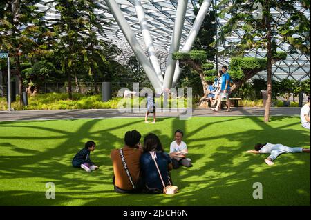 18.03.2020, Singapur, Republik Singapur, Asien - Kinder spielen im neuen Jewel Terminal am Changi Airport auf dem Kunstrasen der Foggy Bowls, einem Spielplatz, umgeben von Pinien im Canopy Park, aus dessen Höhlen gelegentlich Nebelwolken aufsteigen. Trotz der schnellen Ausbreitung des Coronavirus sieht man immer noch viele Menschen, die scheinbar entspannt ihren Alltag durchmachen. [Automatisierte Übersetzung] Stockfoto