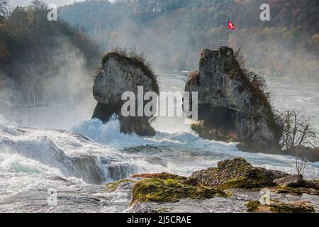 Rheinfall bei Neuhausen, Kanton Schaffhausen, Schweiz Stockfoto