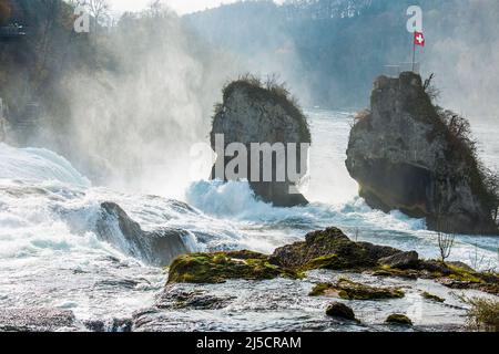 Rheinfall bei Neuhausen, Kanton Schaffhausen, Schweiz Stockfoto