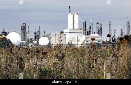 Ludwigshafen, DEU, 02.10.2020 - Blick auf das BASF-Werk in Ludwigshafen. Die BASF SE mit Sitz in Ludwigshafen am Rhein ist das vertriebsmäßig größte Chemieunternehmen der Welt. [Automatisierte Übersetzung] Stockfoto