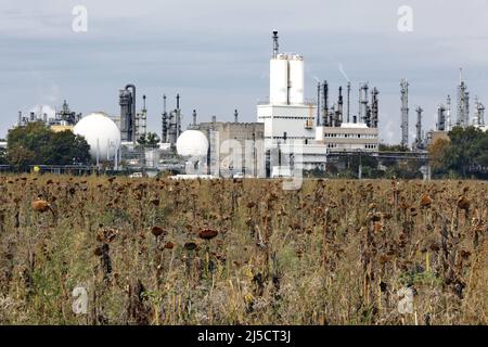 Ludwigshafen, DEU, 02.10.2020 - Blick auf das BASF-Werk in Ludwigshafen. Die BASF SE mit Sitz in Ludwigshafen am Rhein ist das vertriebsmäßig größte Chemieunternehmen der Welt. [Automatisierte Übersetzung] Stockfoto